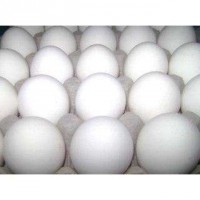 /album/fotogaleria-inicio/vendo-huevos-blancos-baratos-bandeja-30-2500-a79dd7ed34-3-jpg/