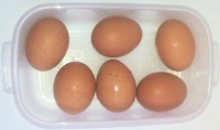 /album/fotogaleria-inicio/huevos-de-campo-super-extra-color-mlc-o-4105230721-042013-jpg/